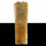 Sandalwood, an olfactory ingredient used by the Society of Scent